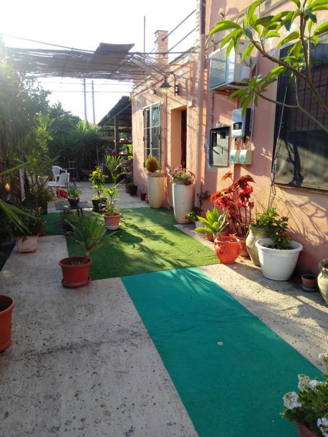 B B Casa Vacanze Il Pino Di Pino Lascari Exterior photo